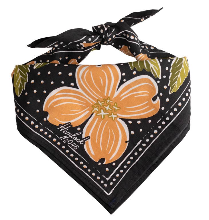 Amy Bandana
