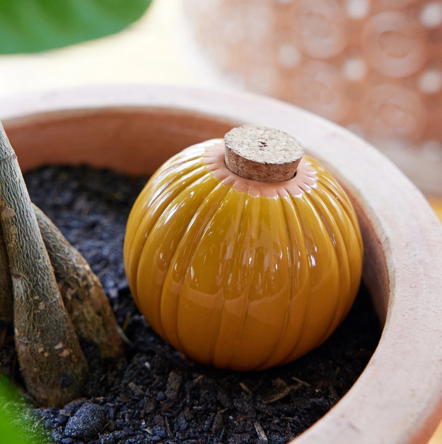 Terracotta Watering Bulb - Mustard