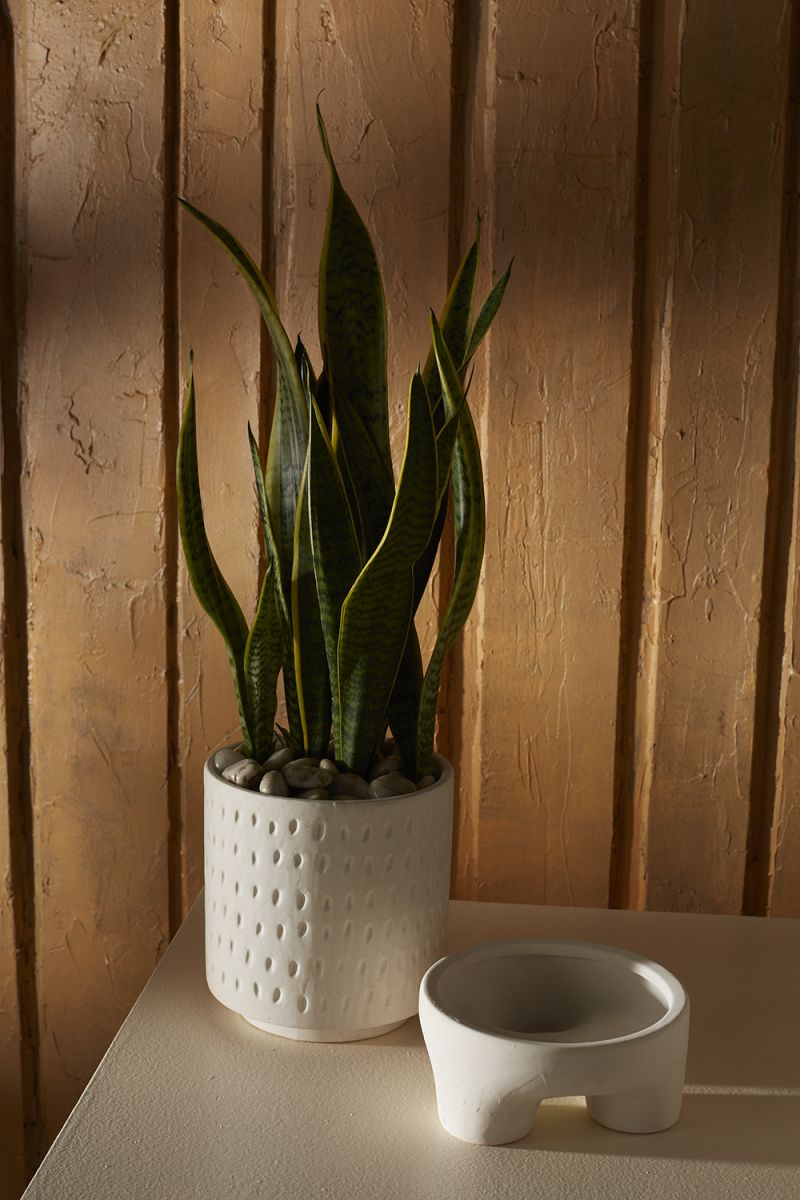 Small Dache Pot