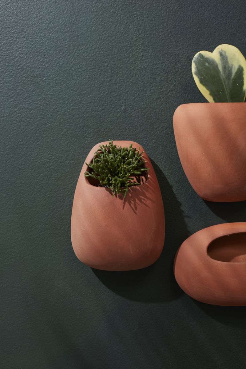 Solento Wall Planter - Wide