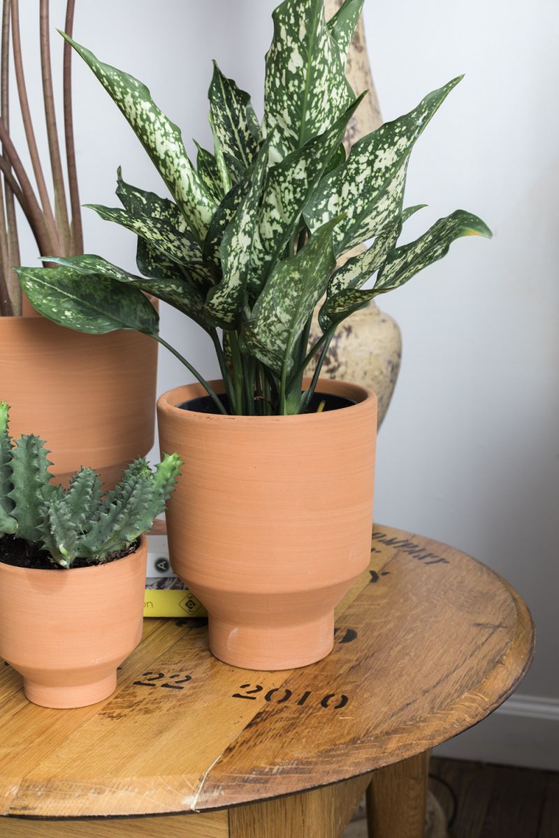 Crescendo Pot - Medium