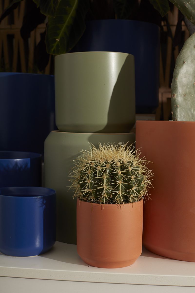 Kendall Terracotta Pot - 4.5 inch