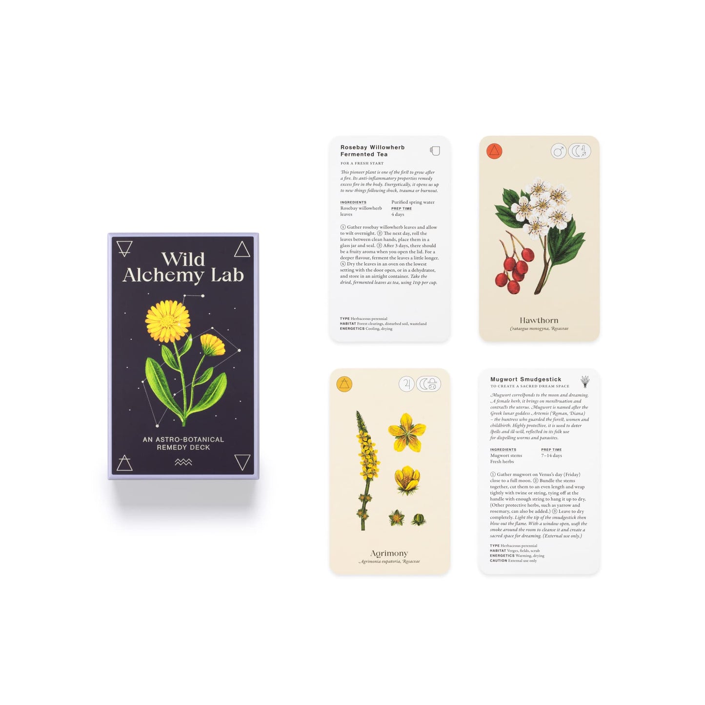 Wild Alchemy Lab: An Astro-botanical Remedy Deck
