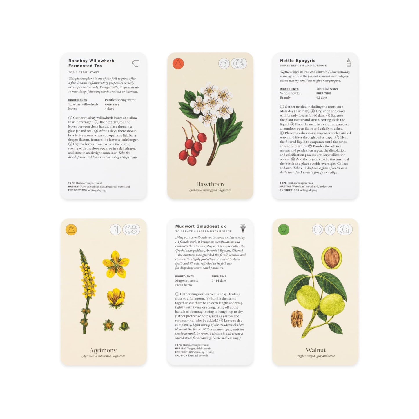 Wild Alchemy Lab: An Astro-botanical Remedy Deck