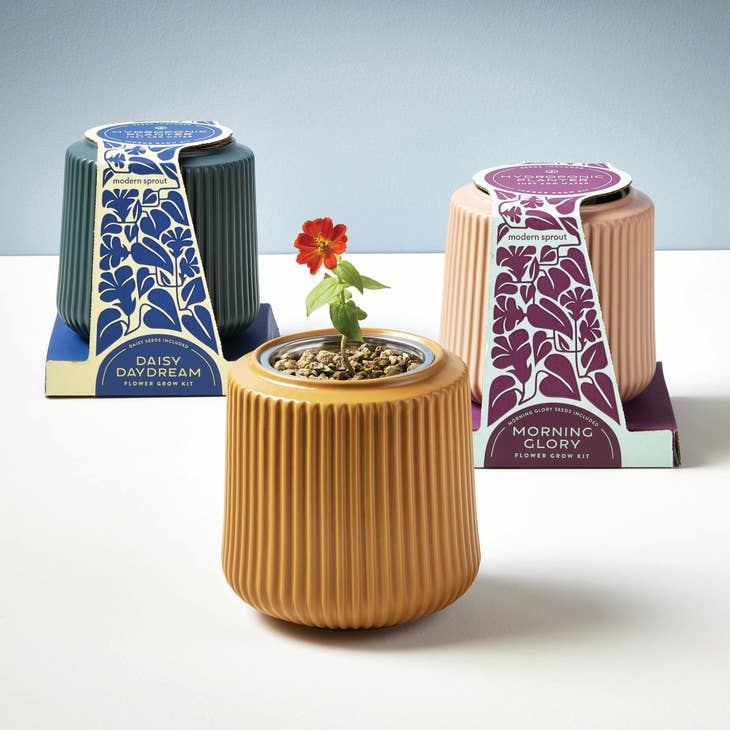 Flower Grow Kit - Zinnia Dahlia