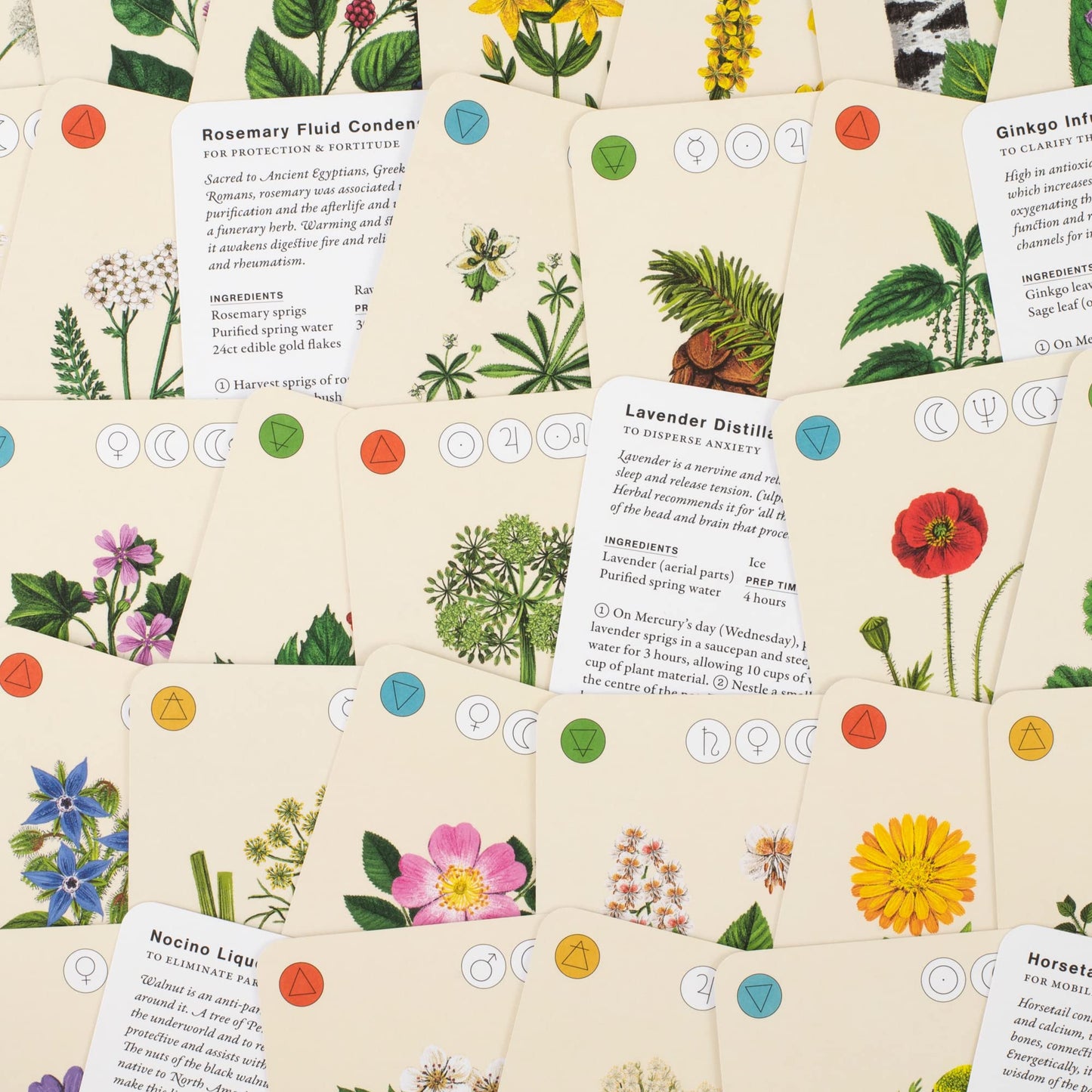 Wild Alchemy Lab: An Astro-botanical Remedy Deck