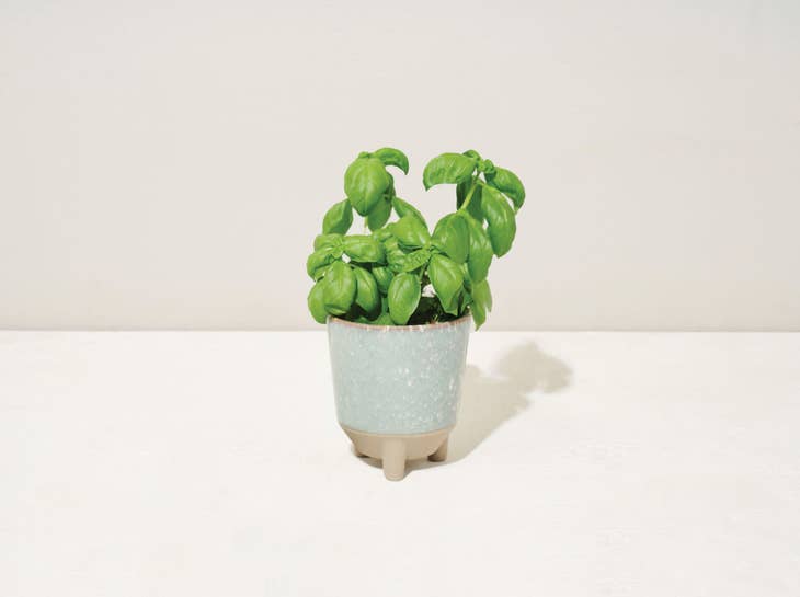 Glow & Grow Candle - Herb Garden