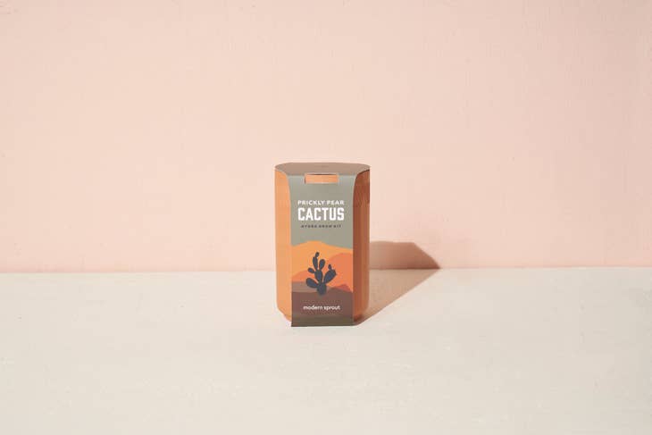 Terracotta Grow Kit - Cactus