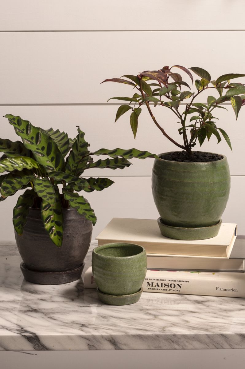 Large Bradford Pot - Green