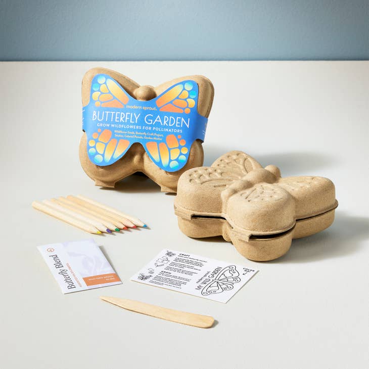 Activity Kit - Butterfly