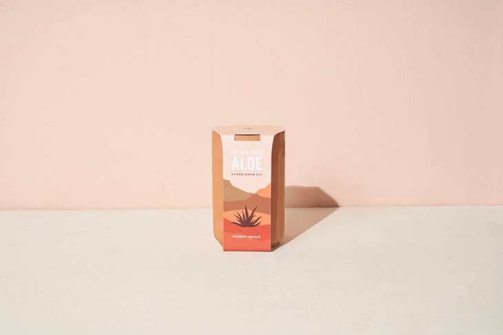 Terracotta Grow Kit - Aloe