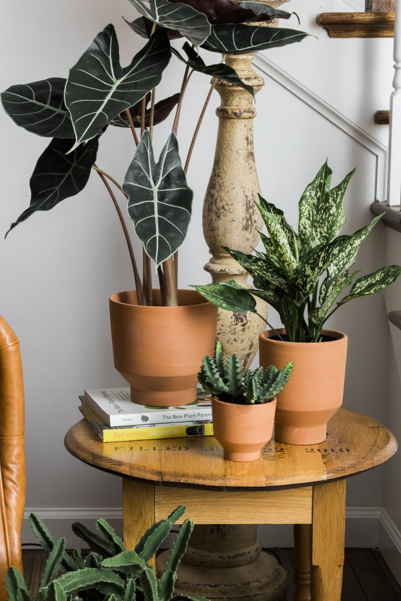 Crescendo Pot - Medium