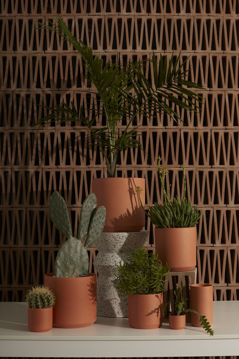 Kendall Terracotta Pot - 4.5 inch