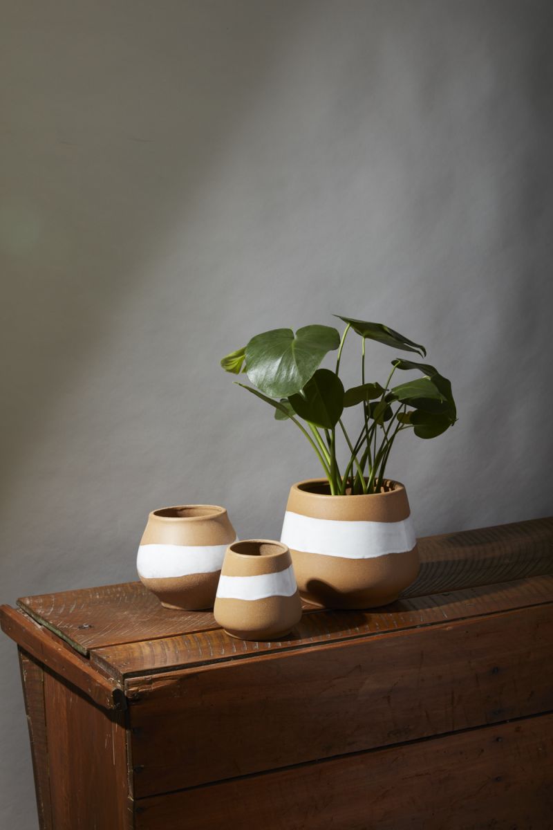Middleton Vase - Medium