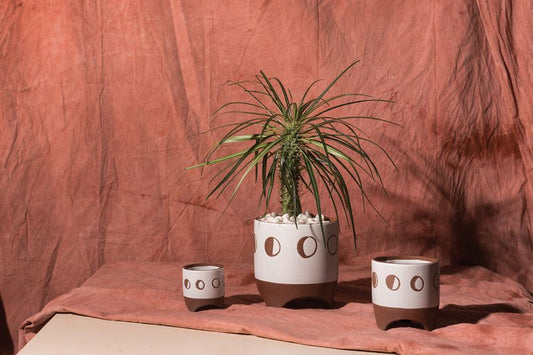 Small Solar Footed Pot