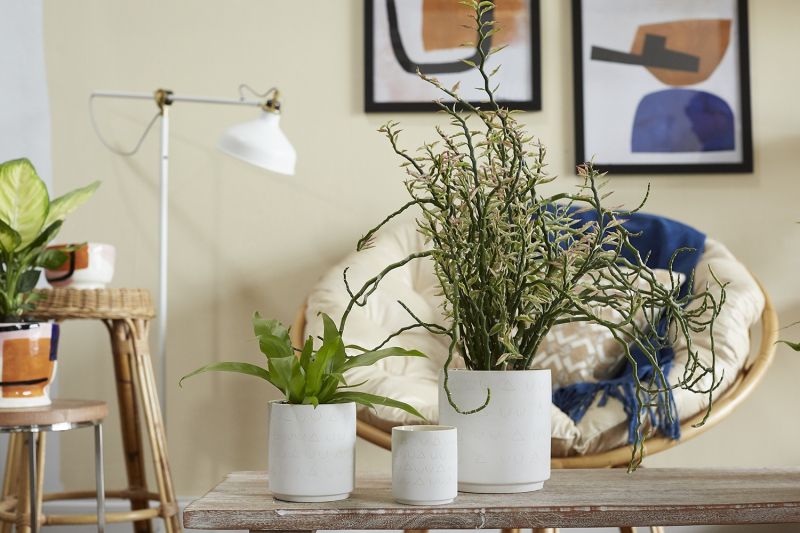 Triangles and Tatas Pot - Small