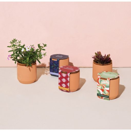 Tiny Terracotta Kit - Peppermint Cosmos