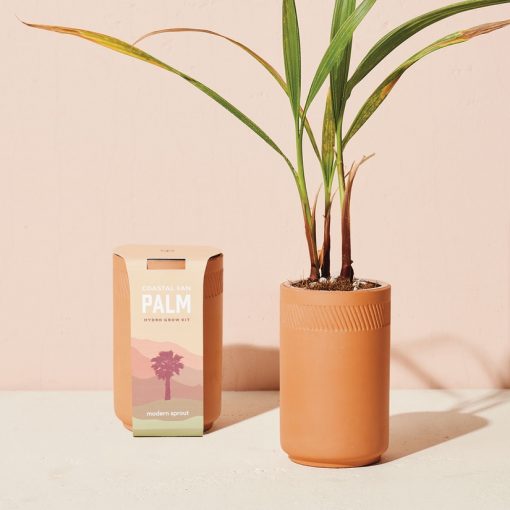 Terracotta Grow Kit - Palm