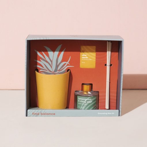 Find Balance - Grounding Aloe Kit