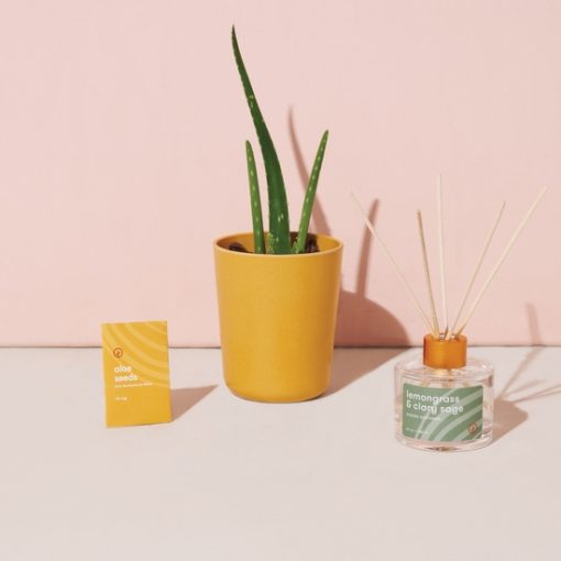 Find Balance - Grounding Aloe Kit