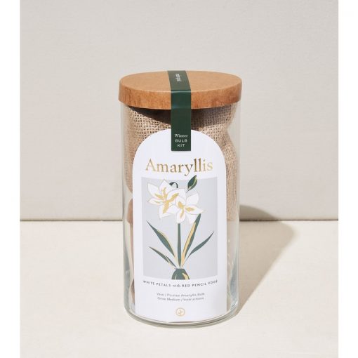 Amaryllis Bulb Kit