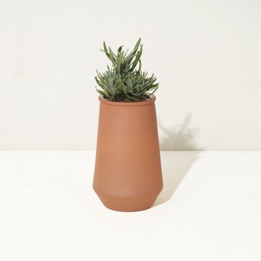 Tapered Tumbler Grow Kit - Lavender