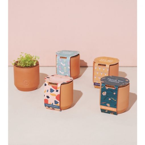 Tiny Terracotta Kit - Curious Catnip