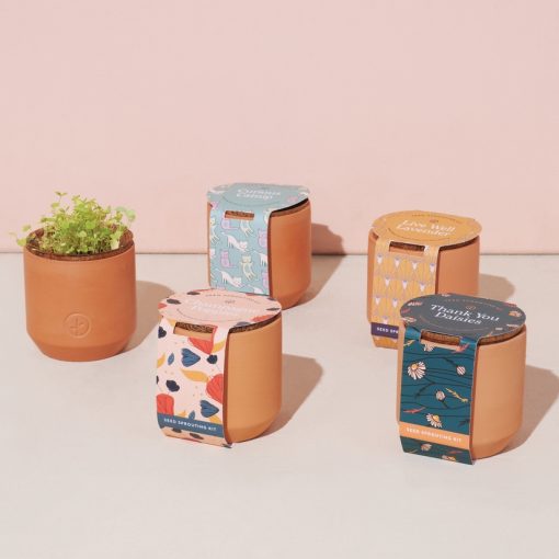 Tiny Terracotta Kit - Champagne Poppies