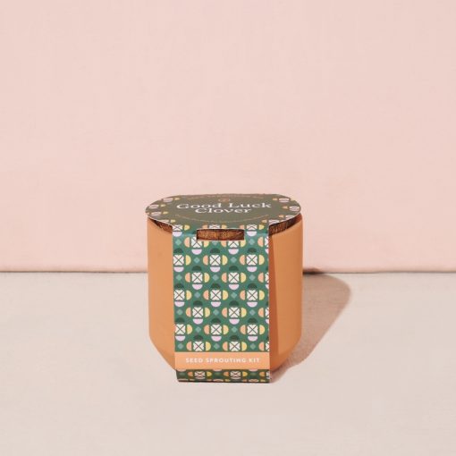 Tiny Terracotta Kit - Good Luck Clover