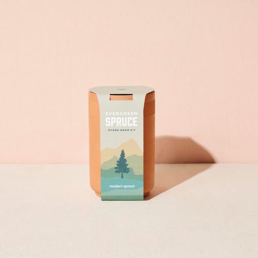 Terracotta Grow Kit - Spruce