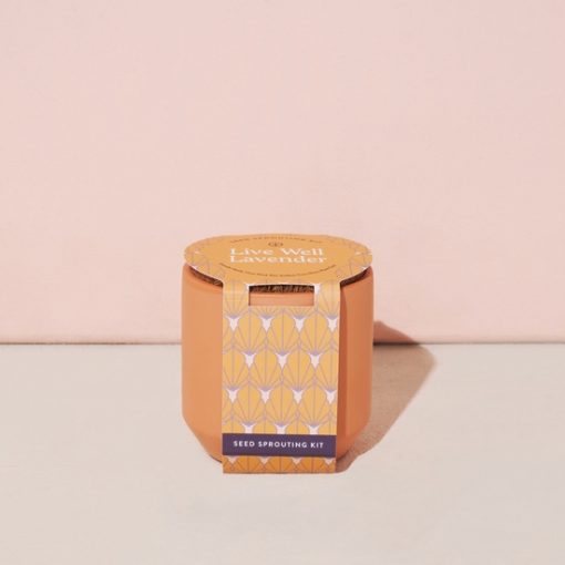 Tiny Terracotta Kit - Lavender