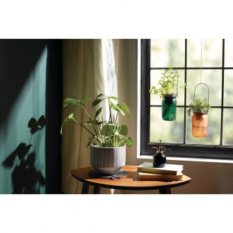 Plant Trivet Set