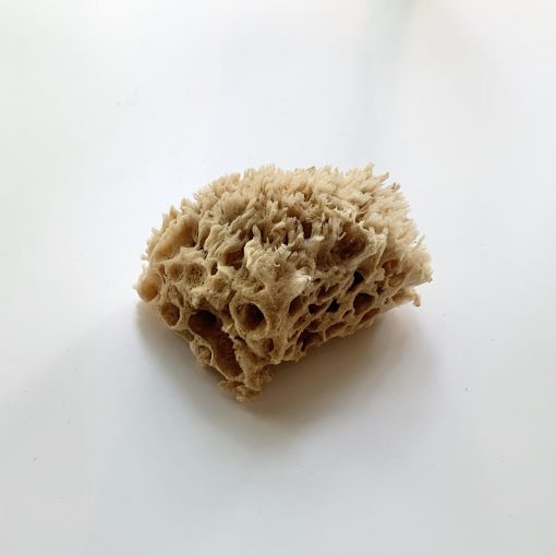 Sea Wool Sponge