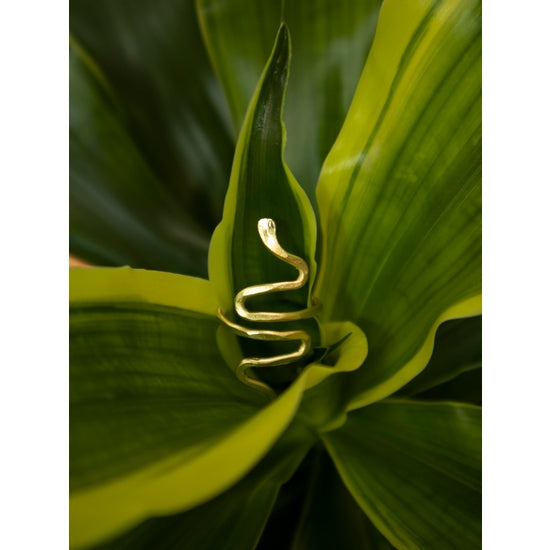 Serpentine Ring - Gold