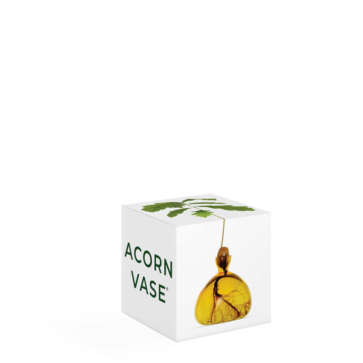 Acorn Vase - Mellow Yellow