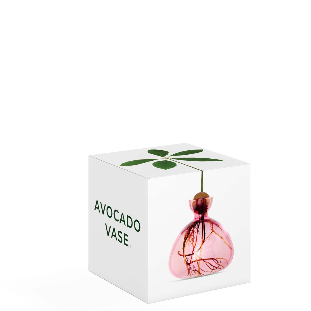 Avocado Vase - Rose Pink