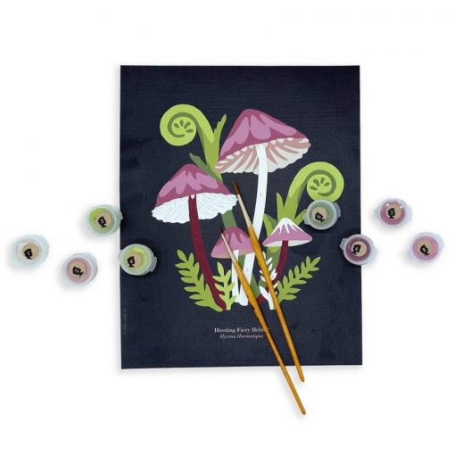 Paint by Number Kit - Mushroom