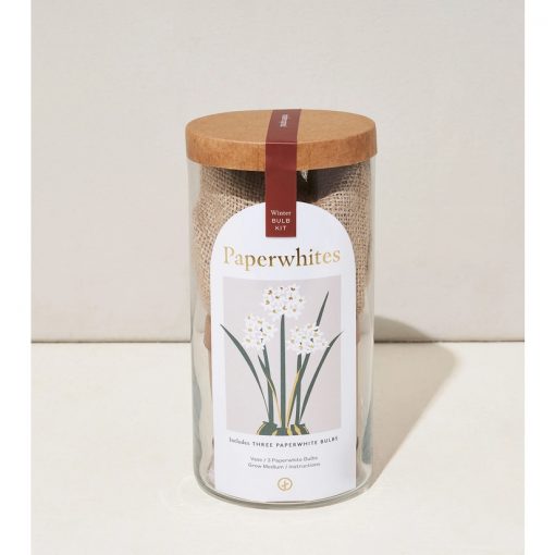 Paperwhites Bulb Kit
