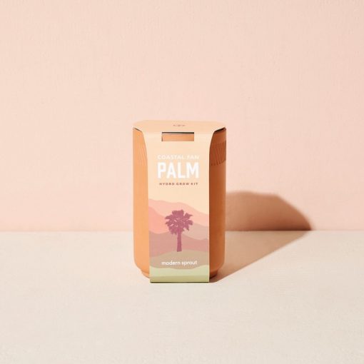 Terracotta Grow Kit - Palm