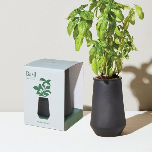 Tapered Tumbler Grow Kit - Basil