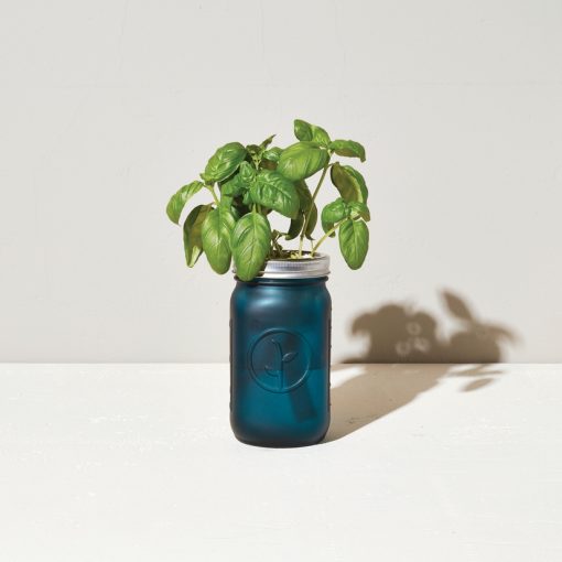 Garden Jar - Basil