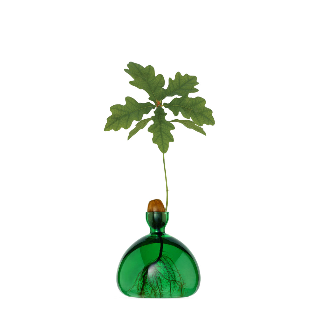 Acorn Vase - Emerald Green