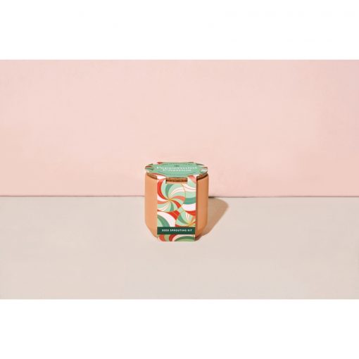 Tiny Terracotta Kit - Peppermint Cosmos