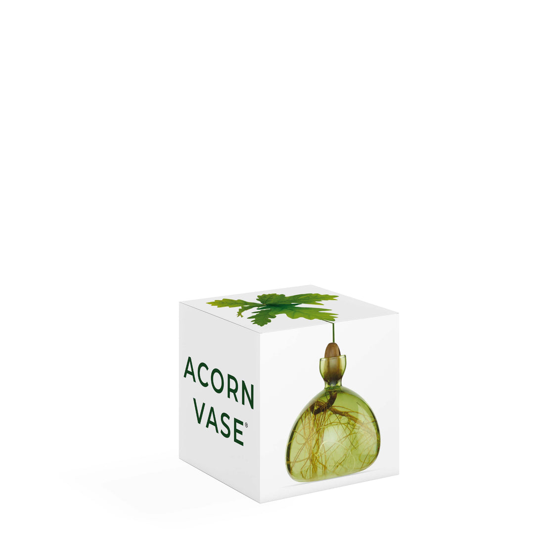 Acorn Vase - Grass Green