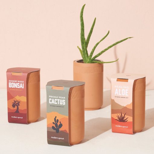 Terracotta Grow Kit - Desert Rose