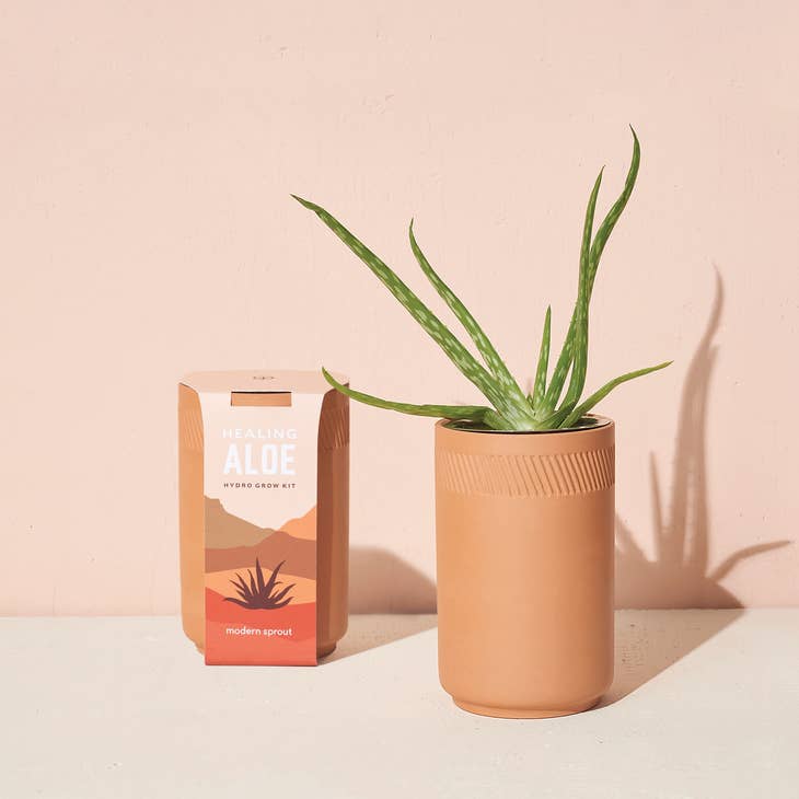 Terracotta Grow Kit - Aloe