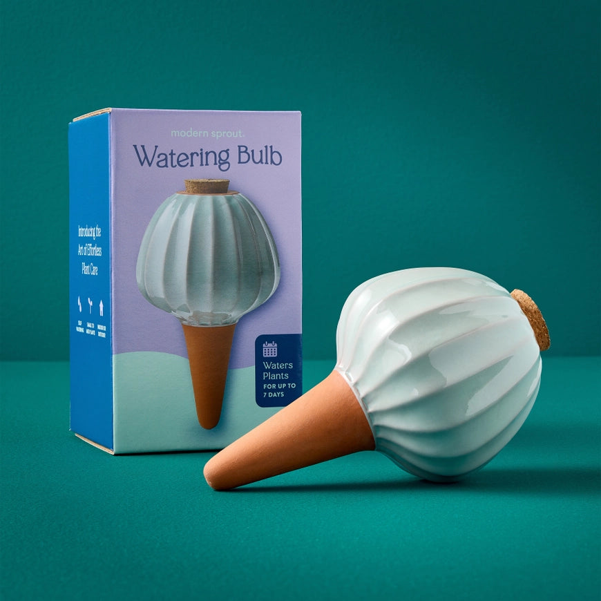 Terracotta Watering Bulb - Sage