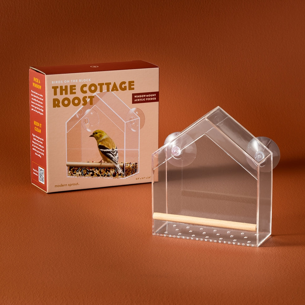 Birds On the Block - Bird Feeders