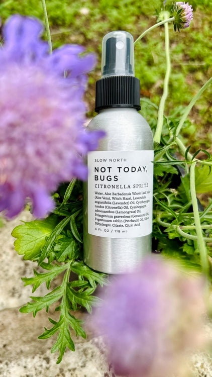 Bug Spray - Not Today Bugs