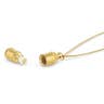 Intention Capsule Necklace - Gold